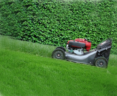 Garden Maintenance